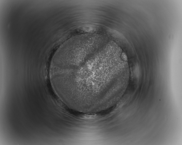 X0000089750606200707201923