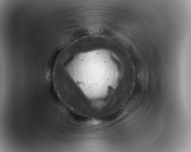 X0000089750610200707201923