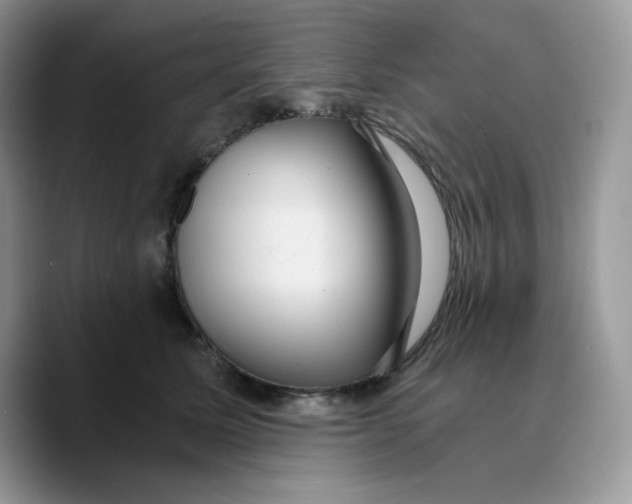 X0000089750611200707201923