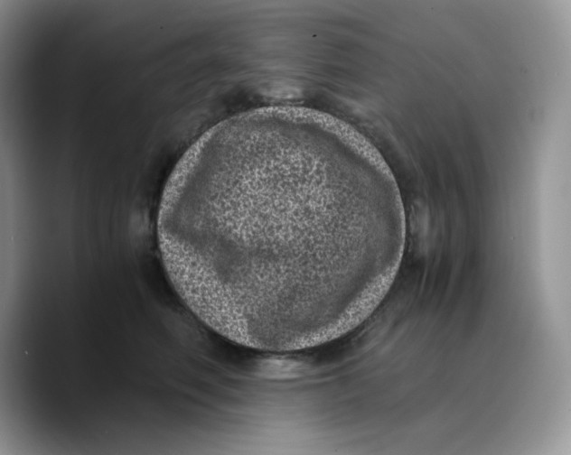 X0000089750614200707201923