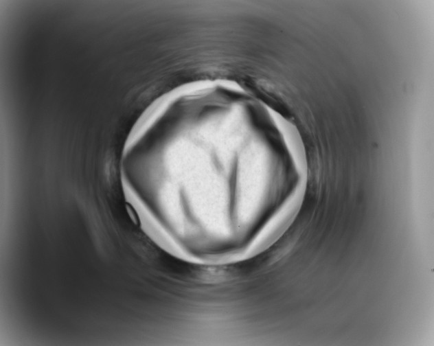 X0000089750623200707201923