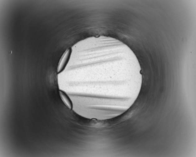 X0000089750624200707201923