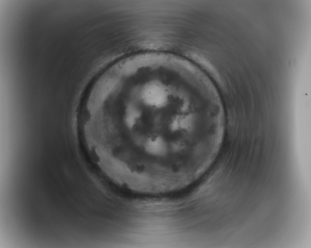 X0000089750626200707201923