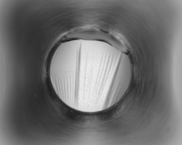 X0000089750628200707201923