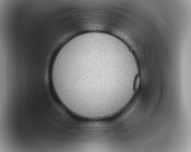 X0000089750629200707201923