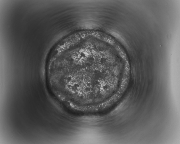 X0000089750630200707201923