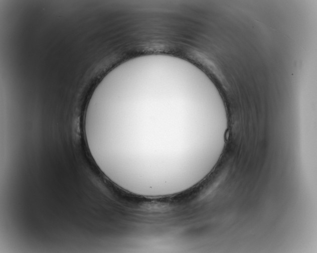 X0000089750633200707201923