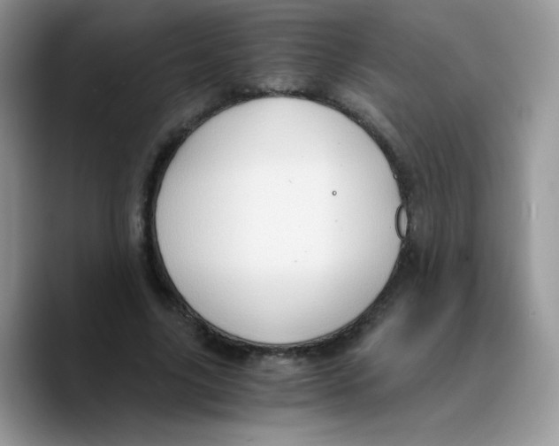 X0000089750635200707201923