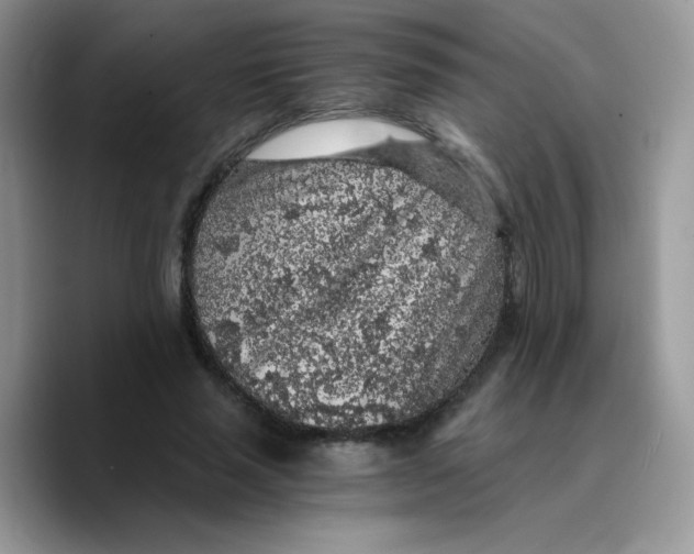 X0000089750637200707201923