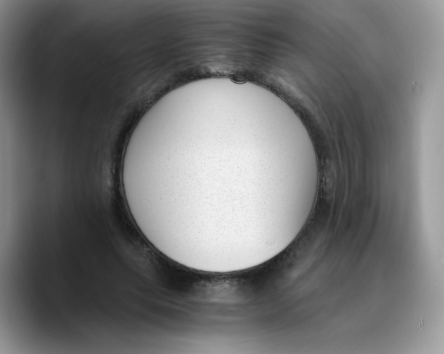 X0000089750639200707201923