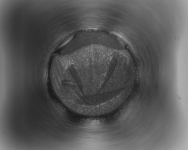 X0000089750640200707201923