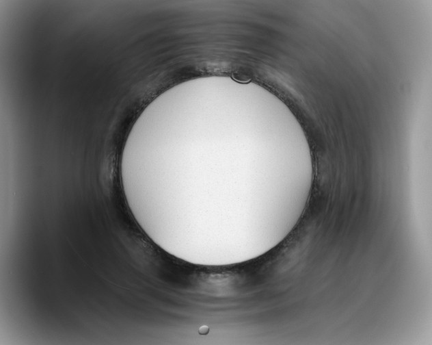 X0000089750645200707201923