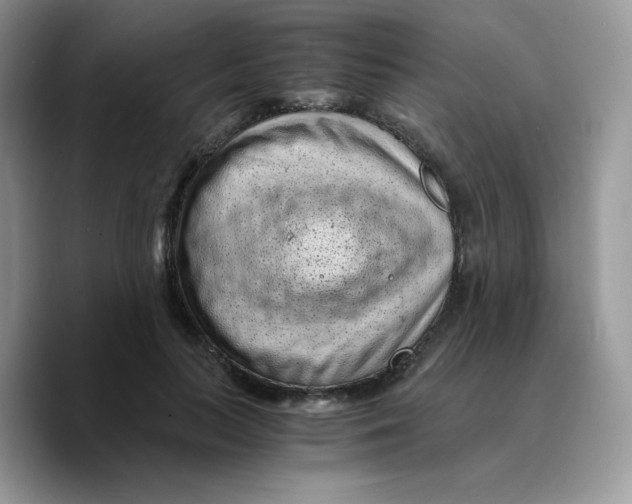 X0000089750647200707201923