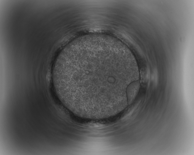 X0000089750648200707201923