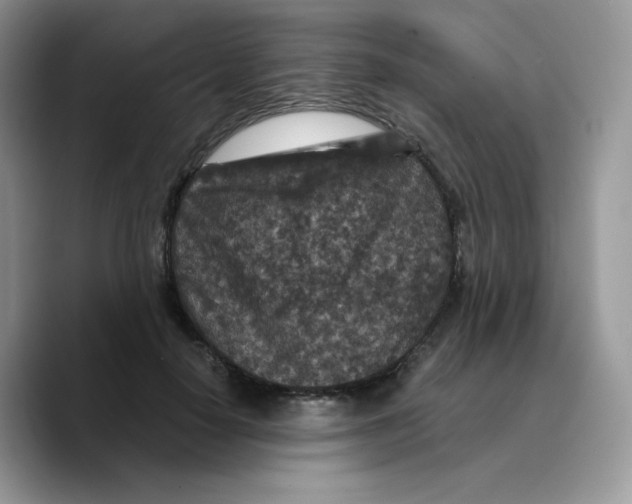 X0000089750650200707201923