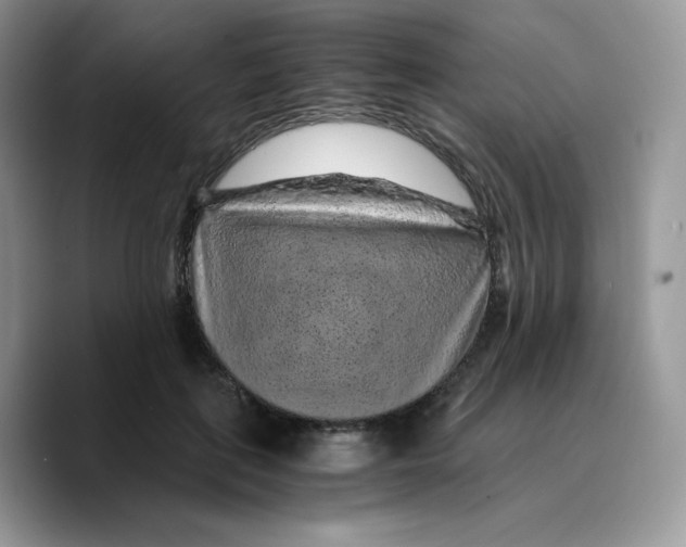 X0000089750651200707201923