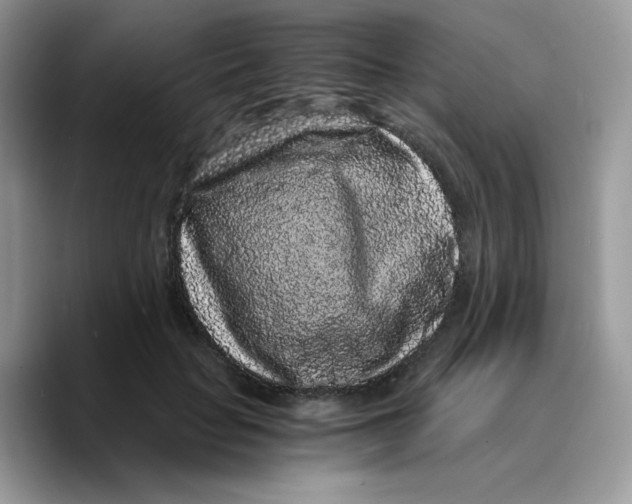 X0000089750653200707201923