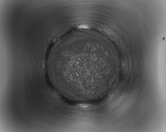 X0000089750654200707201923