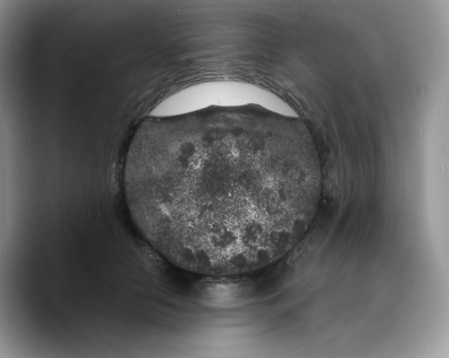 X0000089750658200707201923