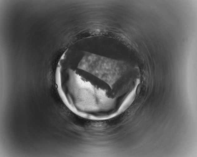 X0000089750659200707201923