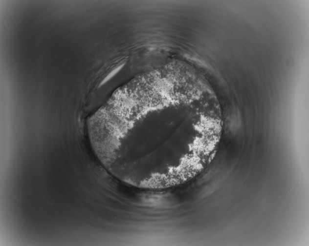 X0000089750661200707201923