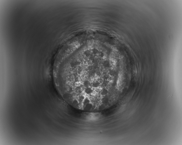 X0000089750663200707201923