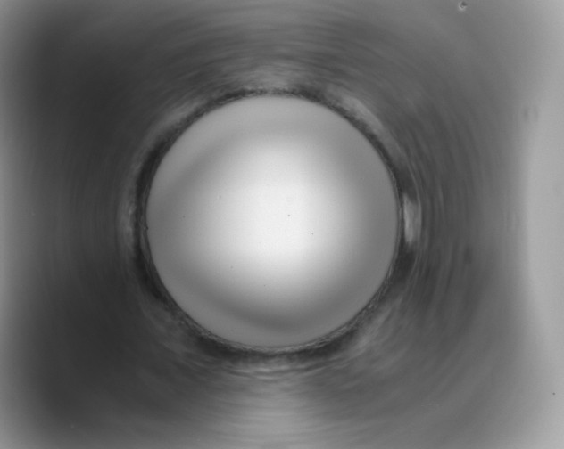 X0000089750675200707201923