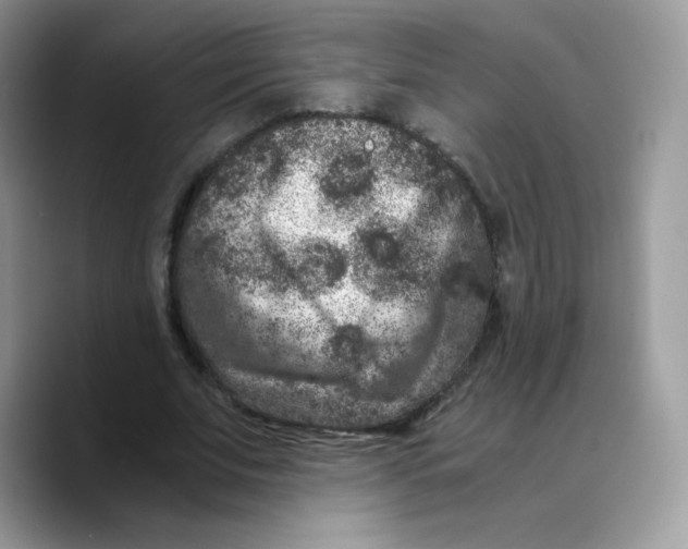 X0000089750679200707201922