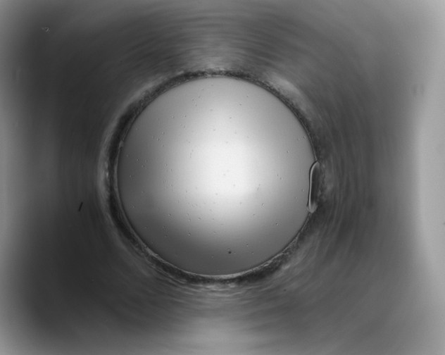 X0000089750680200707201922