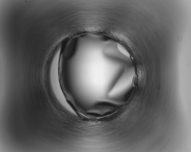 X0000089750684200707201922