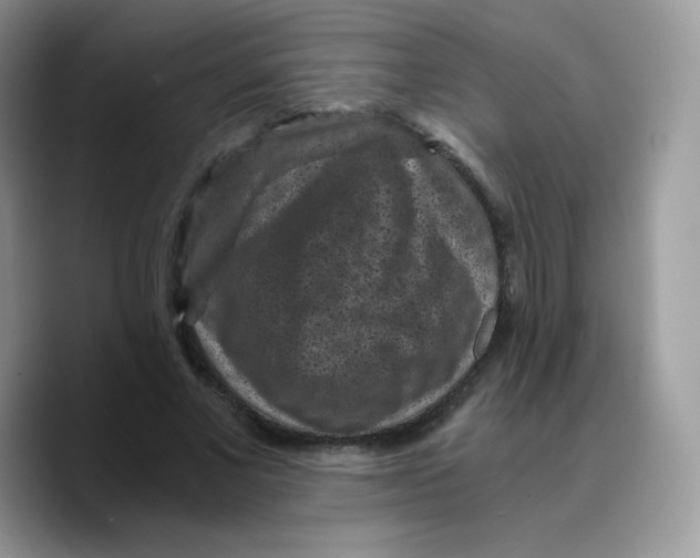 X0000089750685200707201922