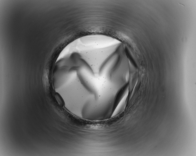 X0000089750688200707201922