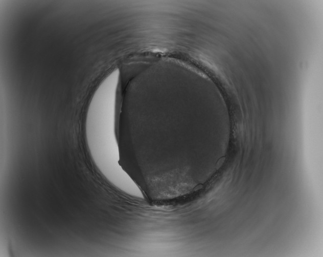 X0000089750689200707201922