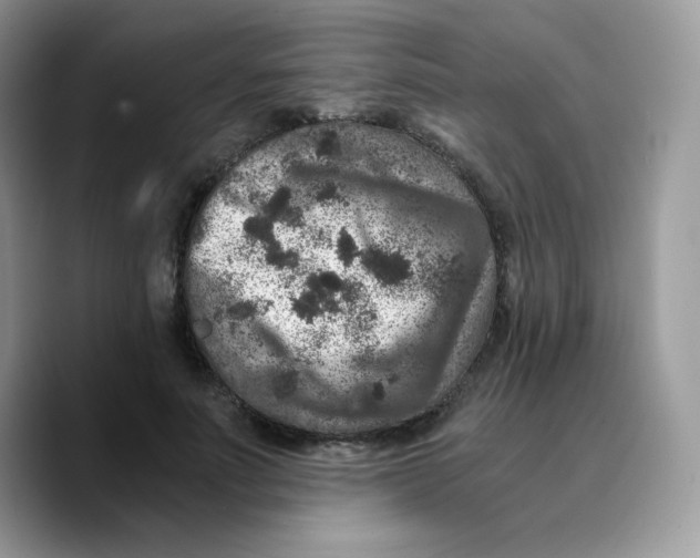 X0000089750691200707201922