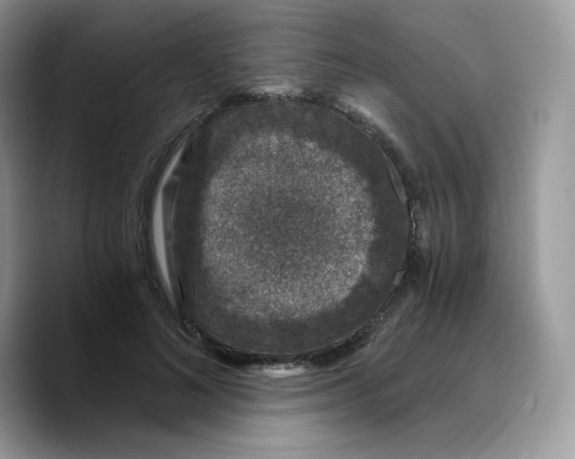 X0000089750692200707201922