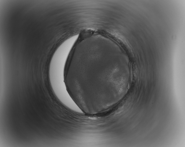 X0000089750693200707201922