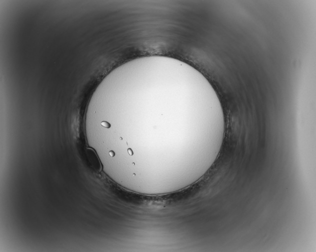 X0000089750694200707201922