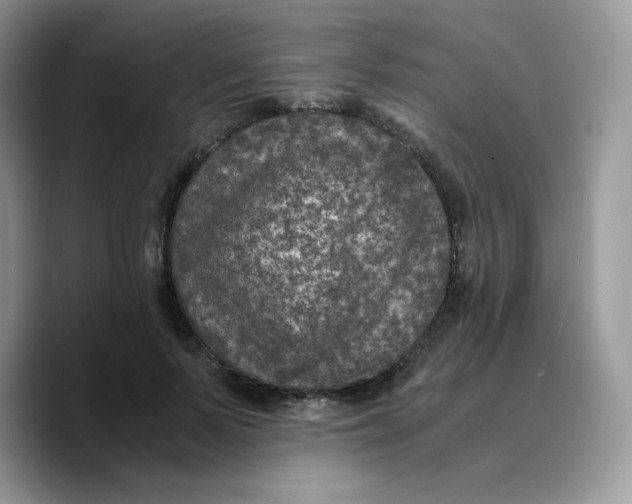 X0000089750695200707201922