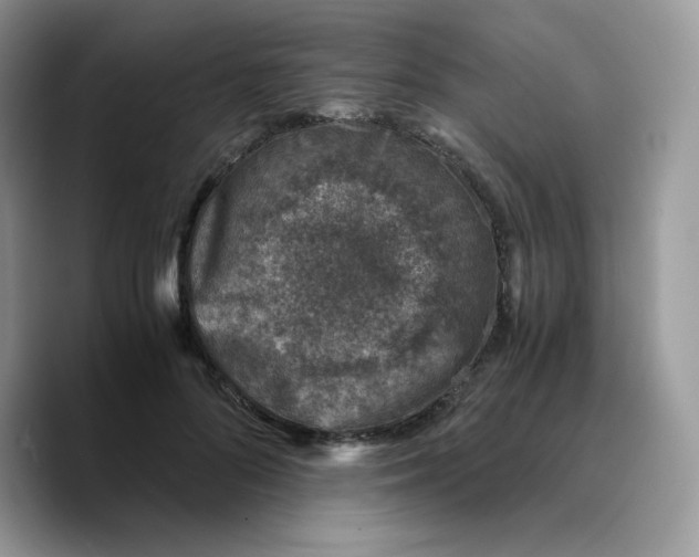 X0000089750696200707201922