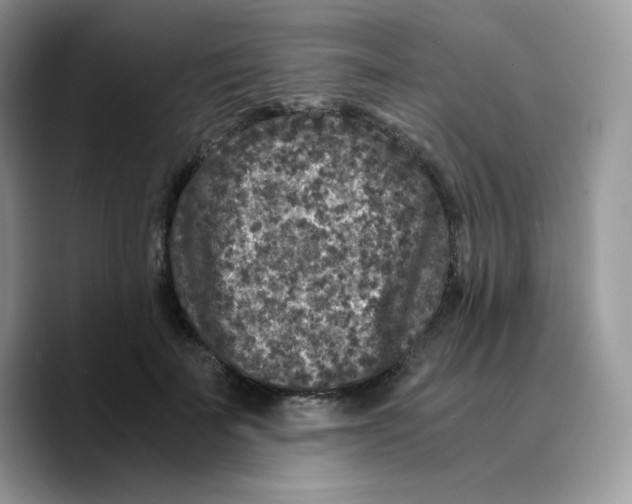 X0000089750699200707201922