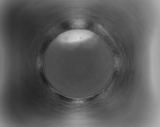 X0000089750701200707201922