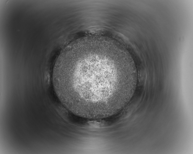 X0000089750703200707201922