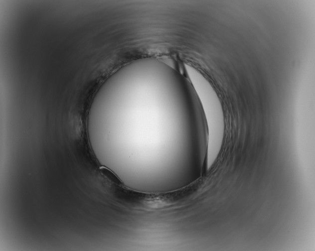 X0000089750704200707201922