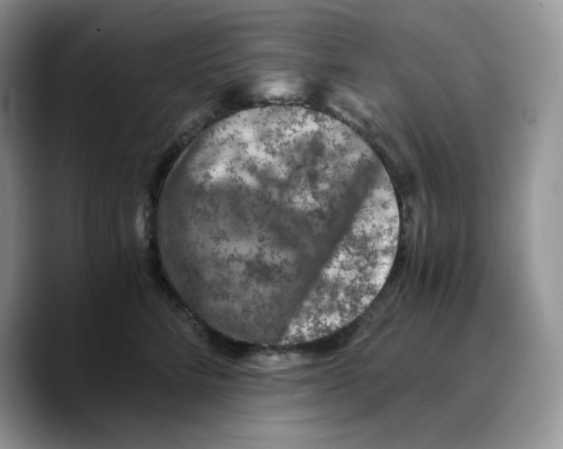 X0000089750712200707201922