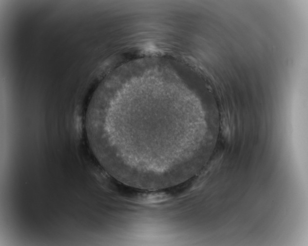 X0000089750716200707201922