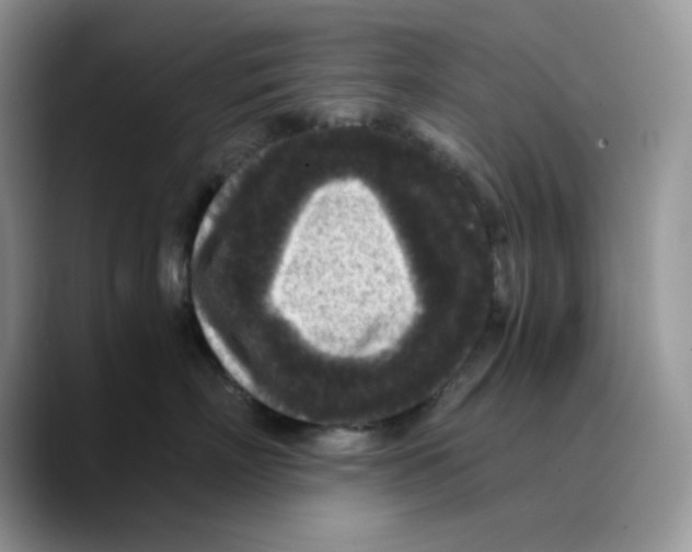 X0000089750718200707201922