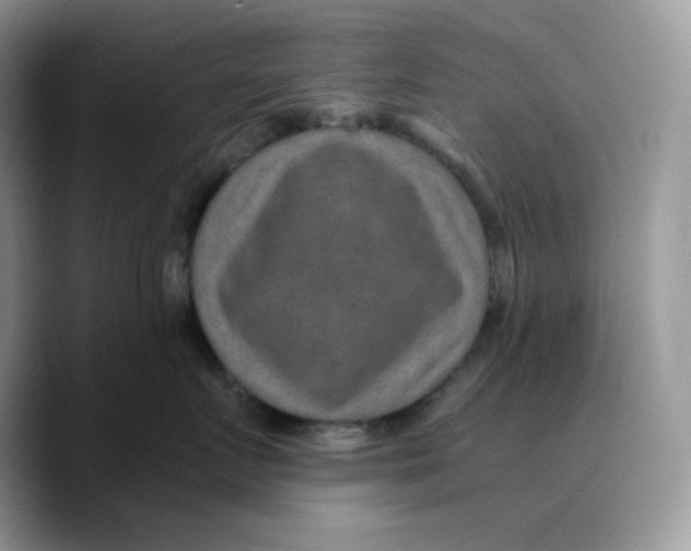 X0000089750719200707201922