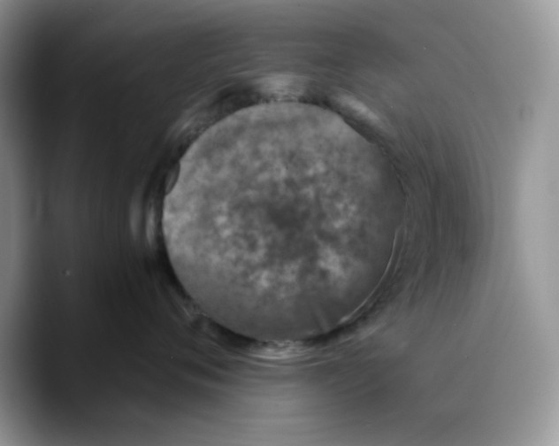 X0000089750720200707201922