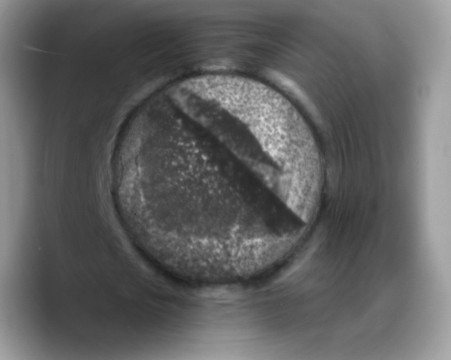 X0000089750721200707201921