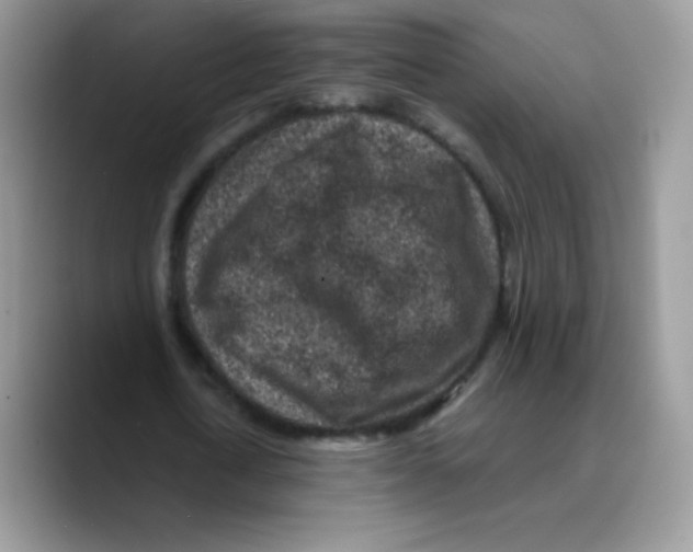 X0000089750722200707201921